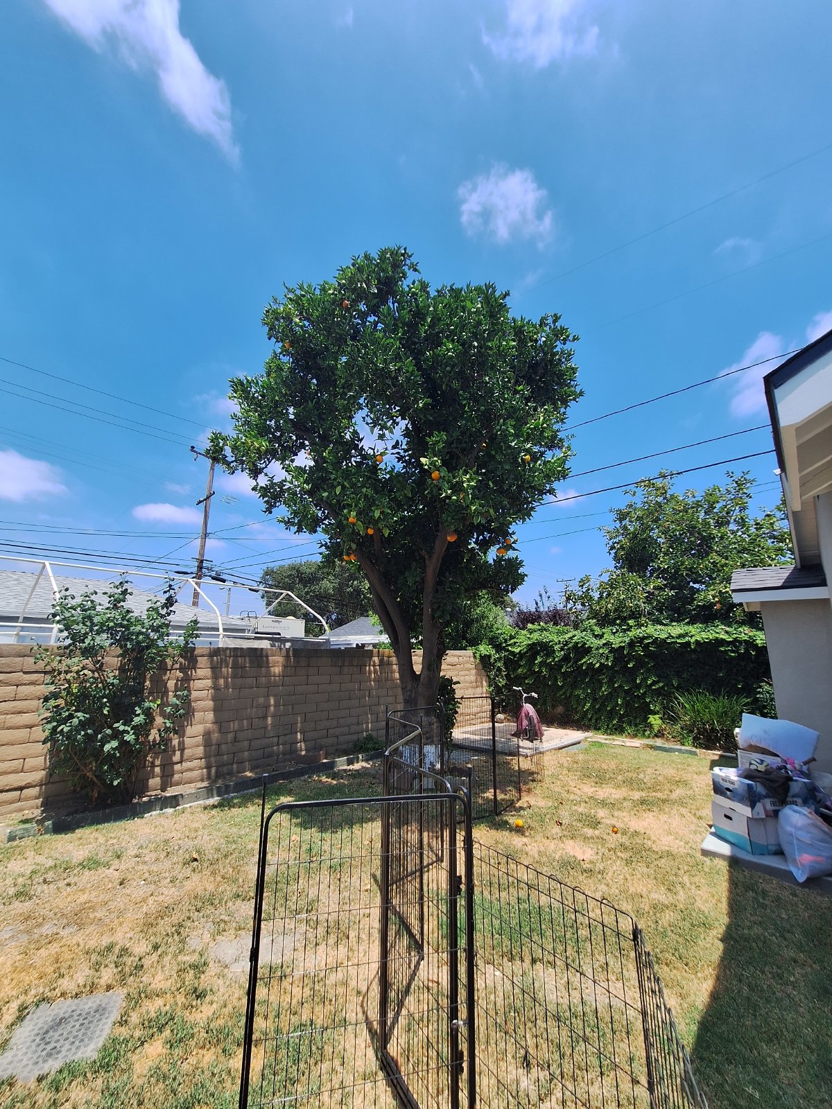 Versatile Lakewood Property Featuring a Remodeled Home & Private ADU property image