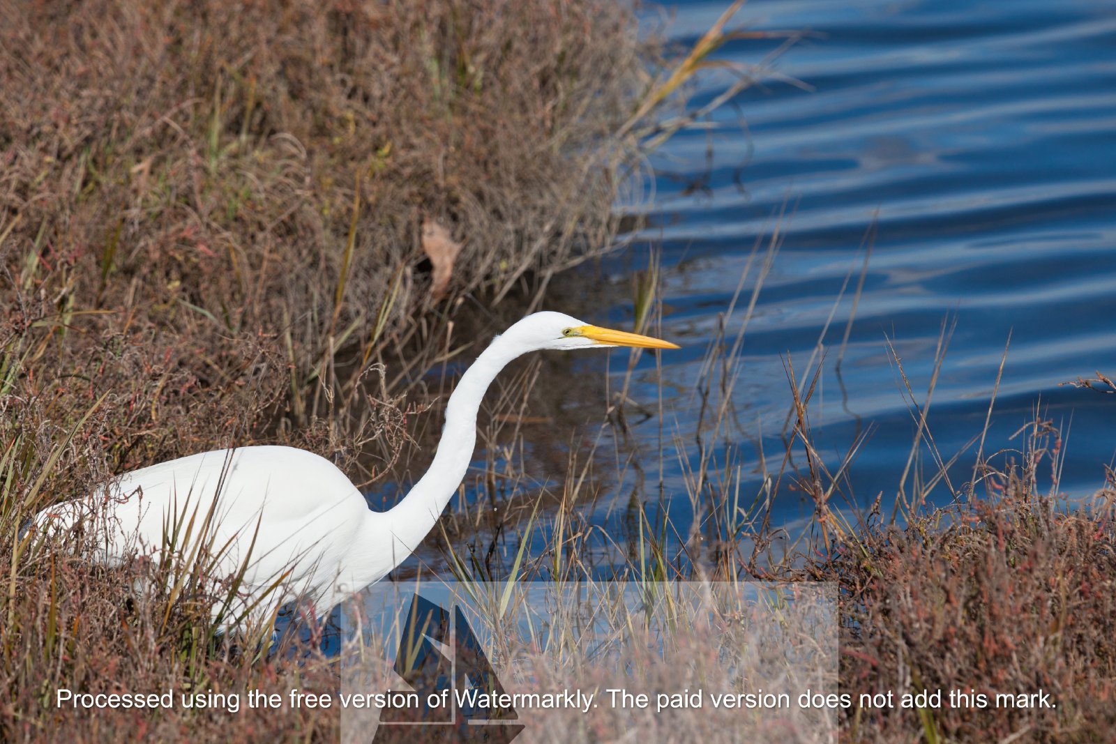 Gorgeous home in downtown Huntington Beach! property image