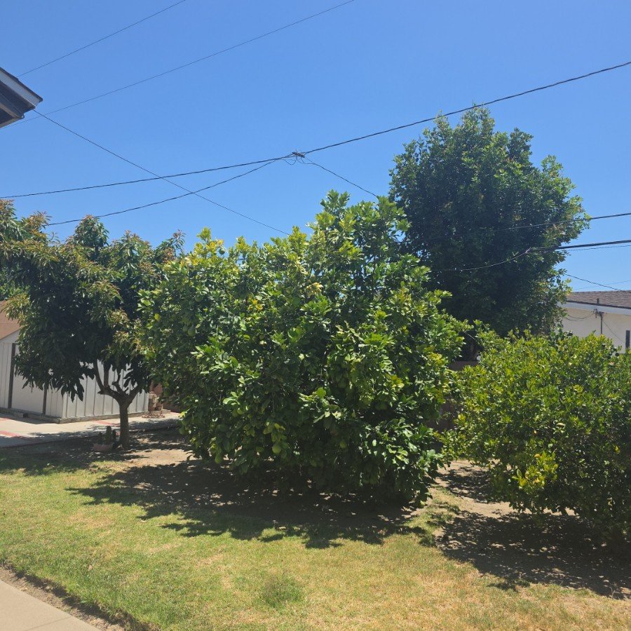 3 Bedroom, 2 Bathroom Fixer Upper in Santa Ana property image