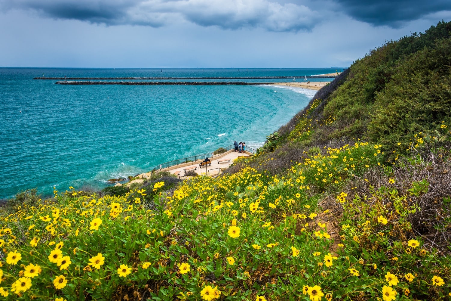 Newport Beach Property Management